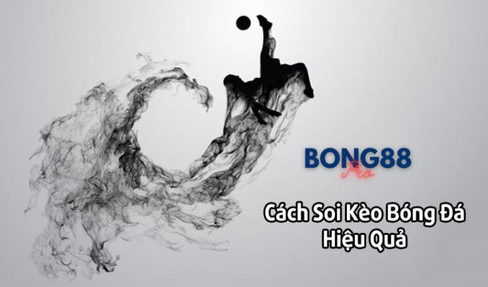 Cách soi kèo bóng đá