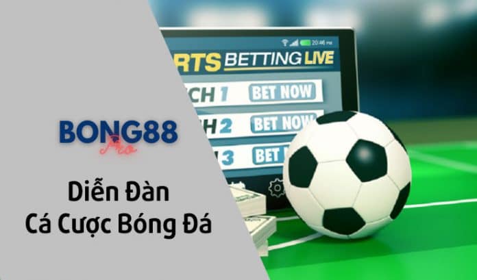 Review diễn đàn cá độ bóng đá uy tín tại Việt Nam diễn đàn cá độ bóng đá