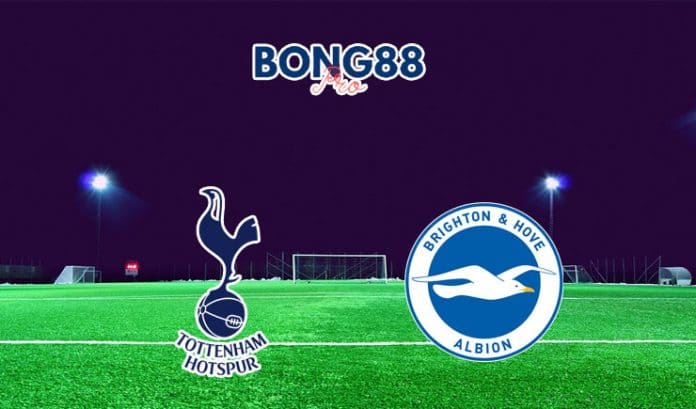 Nhận định Tottenham vs Brighton Hove 16/04/2022