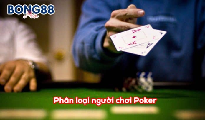 Phân loại người chơi Poker