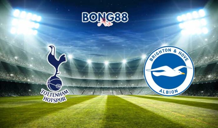 Soi kèo Tottenham vs Brighton, 21h00 - 08/04/2023 tại W88 Soi kèo Tottenham vs Brighton 08/04/2023
