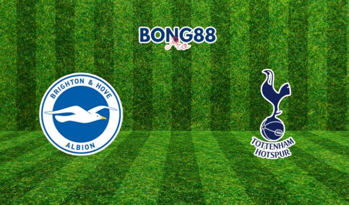 Soi kèo Brighton vs Tottenham 29/12/2023