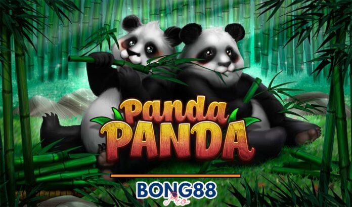 Panda Panda Slot