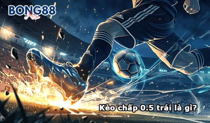 Kèo chấp 0.5 trái là gì? Phương pháp đánh kèo chấp 0.5 trái Kèo chấp 0.5 trái là gì