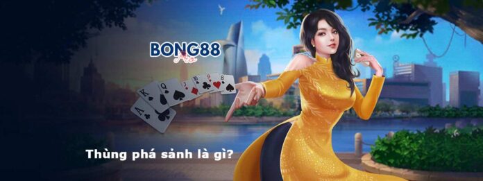 Thùng phá sảnh là gì