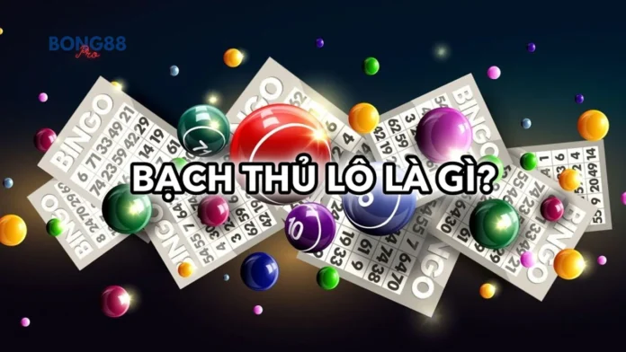 Bạch thủ lô là gì? Ưu và nhược điểm giúp soi cầu chính xác